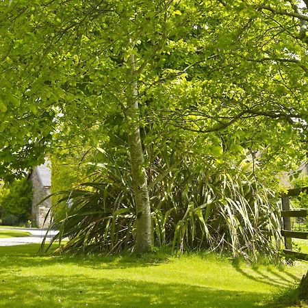 Courtyard Cottages Tralee Zimmer foto