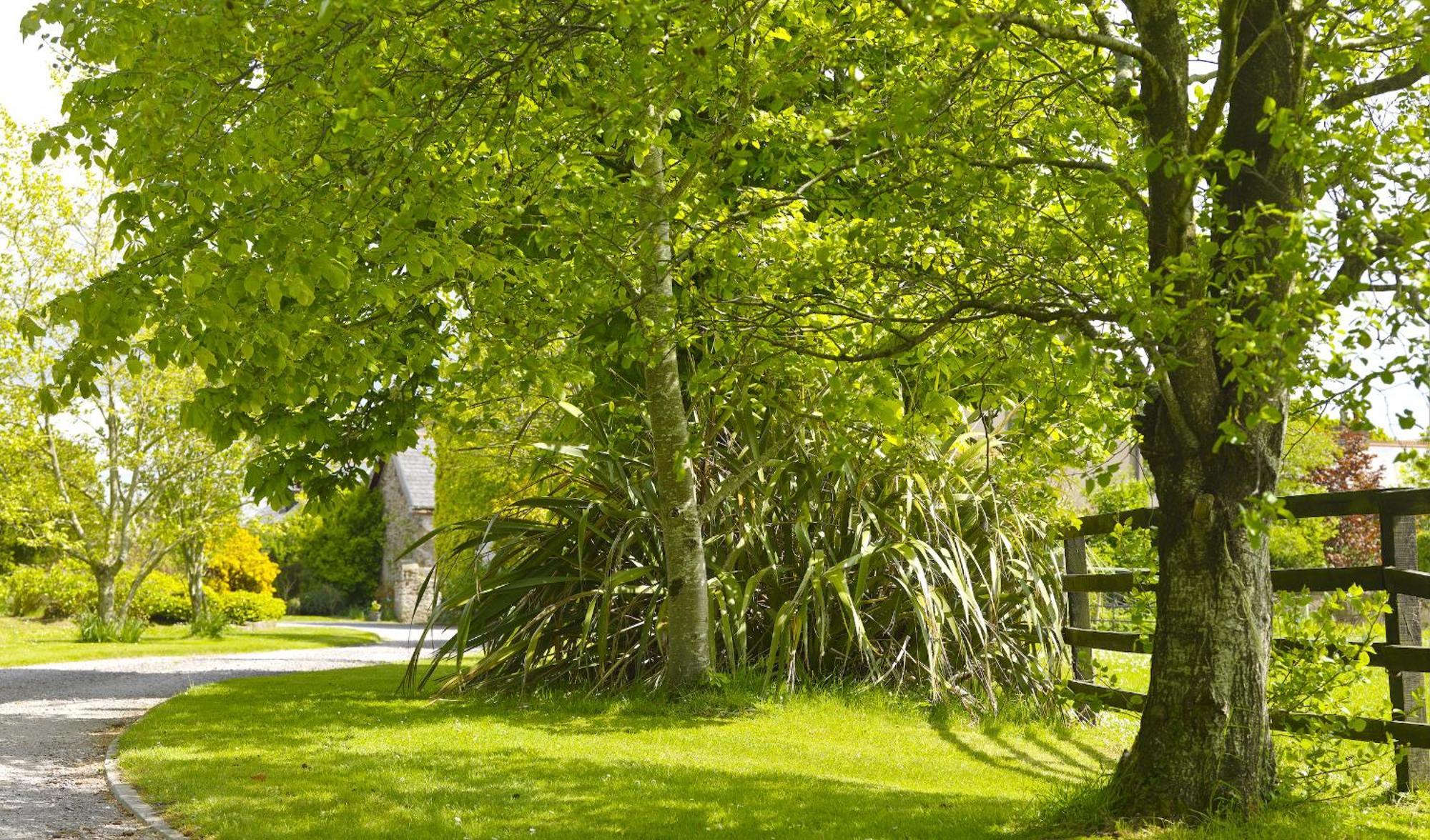 Courtyard Cottages Tralee Zimmer foto